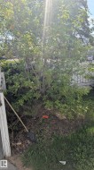 Image quality insufficient for description - 