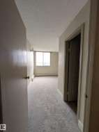 Carpeted interior hallway leading to a room with a large window - 