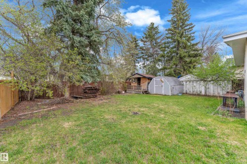 Expansive grassy yard featuring a wood fence, mature evergreen trees, a freestanding shed, and a small outbuilding with a porch - 2119 85 Street, Edmonton, AB - Outdoor