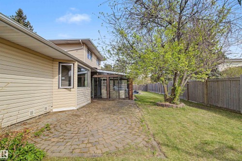 Spacious backyard featuring a circular paver patio, established tree, and privacy fencing - 11617 26 Avenue, Edmonton, AB - Outdoor