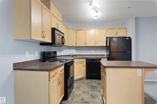 111 5951 165 Avenue, Edmonton, AB - Indoor Photo Showing Kitchen With Double Sink