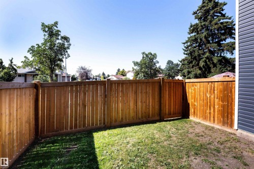 Fenced backyard featuring a wood privacy fence, a wooden gate, and a section of blue horizontal siding - 547 Dunluce Road, Edmonton, AB - Outdoor