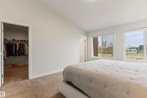Light-filled bedroom featuring two large windows, soft carpet flooring, and a spacious walk-in closet with built-in shelving - 6003 Edmonds Place Nw, Edmonton, AB - Indoor Photo Showing Bedroom