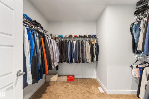 Walk-in closet featuring light gray walls, carpet flooring, and white trim - 6003 Edmonds Place Nw, Edmonton, AB - Indoor With Storage