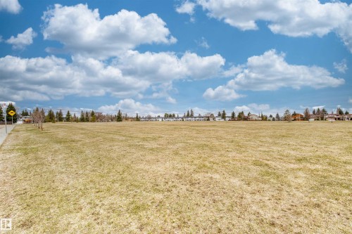 Expansive open field with natural grass, bordered by a paved sidewalk and a line of mature evergreen trees - 1116 Saddleback Road, Edmonton, AB - Outdoor With View