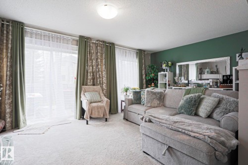 Bright living area featuring a full wall of windows with blinds and drapes, a green accent wall, and light-toned carpeting - 1621 64 Street, Edmonton, AB - Indoor Photo Showing Living Room