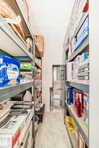 Utility room featuring extensive built-in shelving, carpet flooring, and a visible furnace unit - 5107 200 Street, Edmonton, AB - Indoor