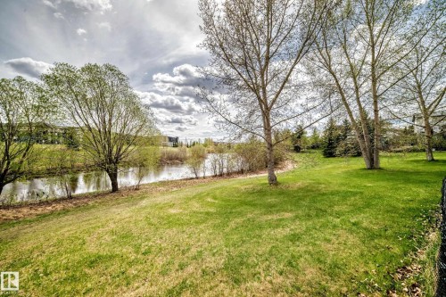 Expansive green lawn bordering a tranquil body of water, featuring mature trees and distant residential structures - 5107 200 Street, Edmonton, AB - Outdoor With View