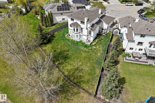 Expansive rear yard featuring green lawn, mature trees, and a black chain link fence - 5107 200 Street, Edmonton, AB - Outdoor With View