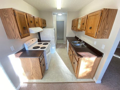 203 10826 113 Street, Edmonton, AB - Indoor Photo Showing Kitchen With Double Sink