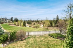 Expansive green space featuring a walking path, mature trees, and a distant stream - 