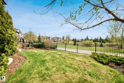Landscaped backyard featuring a manicured lawn, established shrubbery, a black metal fence, and a paved pathway beyond the property line - 527 Callaghan Point(E), Edmonton, AB - Outdoor