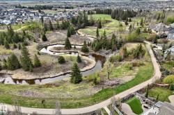 Winding creek bordered by mature trees and natural landscaping - 