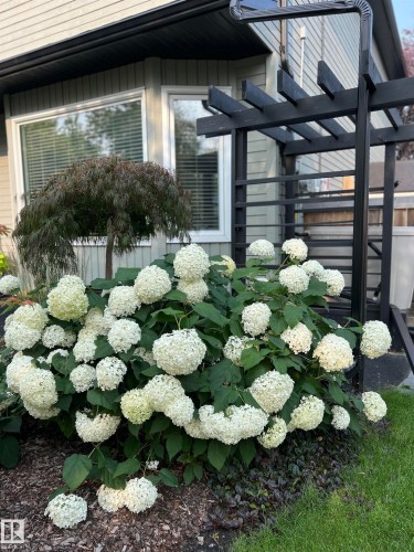 58 Patterson Cr, St. Albert, AB - Outdoor