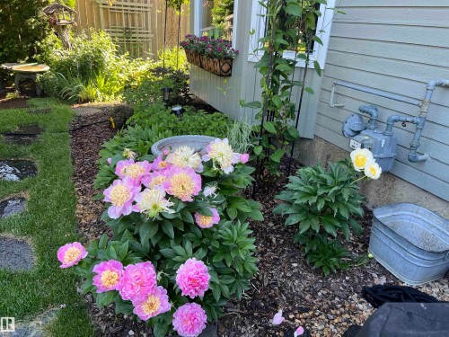 58 Patterson Cr, St. Albert, AB - Outdoor