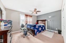 Bedroom featuring neutral-toned walls, a single window with curtain rods, a ceiling fan with integrated lighting, and carpeted flooring - 