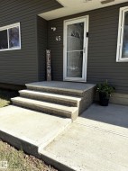 Concrete steps and walkway leading to an entryway featuring horizontal siding, white trim, and a storm door - 