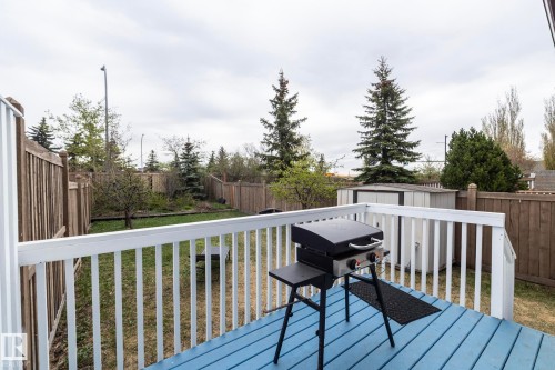 Rear deck featuring blue-painted wood flooring and white railings - 9112 166 Avenue, Edmonton, AB - Outdoor With Deck Patio Veranda With Exterior