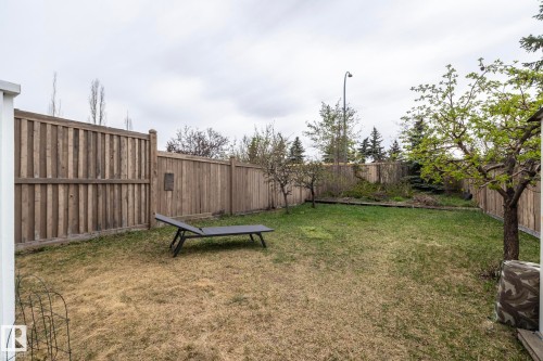 Spacious backyard featuring wood fencing and mature trees - 9112 166 Avenue, Edmonton, AB - Outdoor