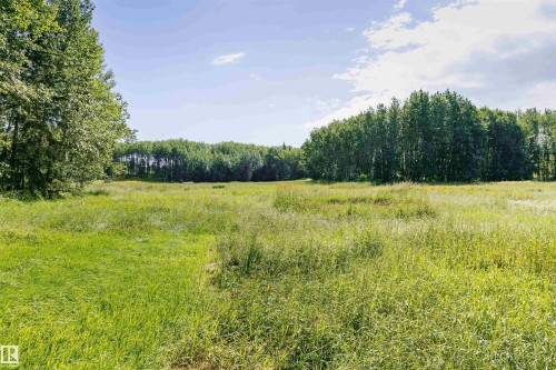 Expansive open field with natural grasses - 4808 50 Avenue, Sangudo, AB 