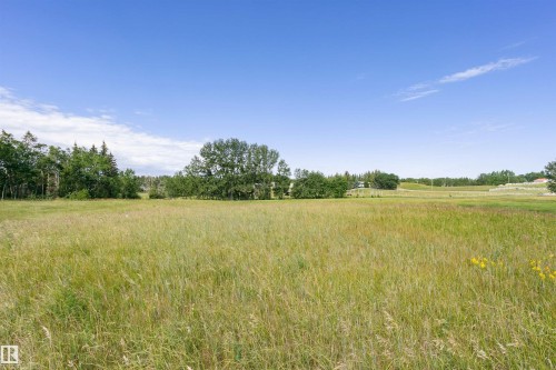 Expansive open field with natural grasses and distant mature trees - 4808 50 Avenue, Sangudo, AB 