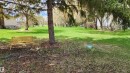 Mature trees - 4806 48 Street, Glendon, AB 