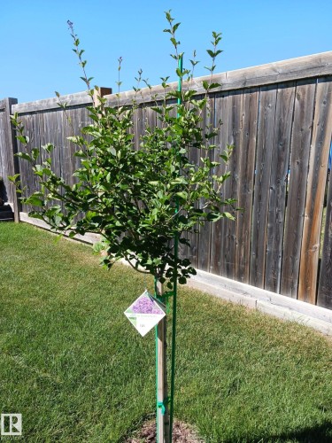 21 Beaverhill View Cr, Tofield, AB - Outdoor