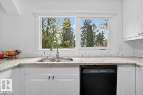 4124 121 Street, Edmonton, AB - Indoor Photo Showing Kitchen With Double Sink