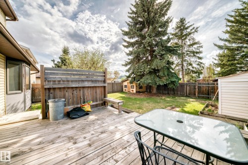 Expansive backyard featuring a wood deck, wooden privacy fence, mature evergreen trees, and a storage shed - 9528 189 Street, Edmonton, AB - Outdoor With Deck Patio Veranda