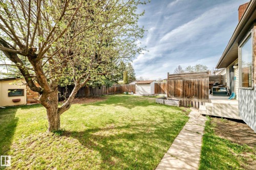 Expansive lawn area featuring a mature tree, a concrete pathway, a wooden privacy fence, a detached shed, and a raised wooden deck - 9528 189 Street, Edmonton, AB - Outdoor