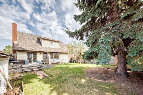 Spacious backyard featuring a multi-level wood deck, sliding glass door access, bay window, a prominent evergreen tree, and a brick chimney - 9528 189 Street, Edmonton, AB - Outdoor With Deck Patio Veranda