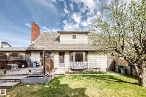 Expansive backyard featuring a multi-level wood deck, mature tree, and a manicured lawn - 9528 189 Street, Edmonton, AB - Outdoor With Deck Patio Veranda