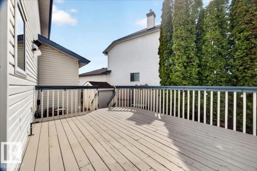 Spacious outdoor deck featuring light-toned wood-finish flooring, white railing with a dark top rail, and mature evergreen trees providing natural screening - 11824 13 Avenue, Edmonton, AB - Outdoor With Deck Patio Veranda With Exterior