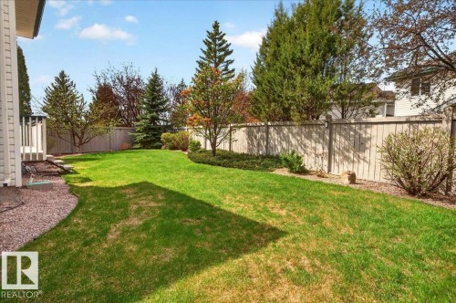 Expansive green lawn surrounded by mature trees, a privacy fence, and diverse landscaping - 11824 13 Avenue, Edmonton, AB - Outdoor
