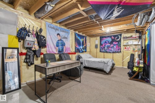 1517 Jarvis Crescent, Edmonton, AB - Indoor Photo Showing Basement