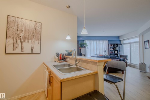 171 4823 104A Street, Edmonton, AB - Indoor Photo Showing Kitchen With Double Sink