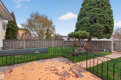 Backyard space featuring a concrete patio, mature evergreen tree, and decorative concrete block fencing - 8407 150 Avenue, Edmonton, AB - Outdoor