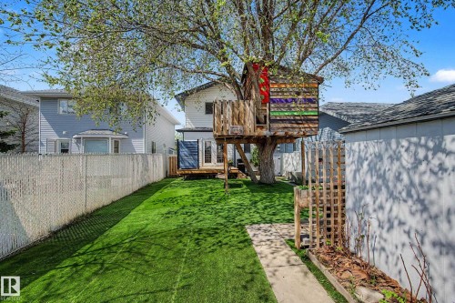 Expansive backyard featuring a manicured lawn, a concrete pathway, a wooden deck, and a mature tree with a built-in play structure - 16211 55A Street, Edmonton, AB - Outdoor