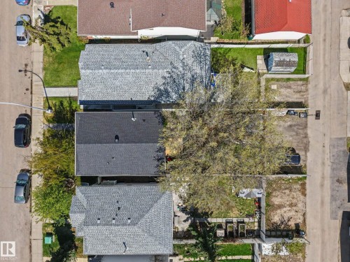 Property featuring a dark shingle roof, a light shingle roof, and a mature tree - 16211 55A Street, Edmonton, AB - Outdoor