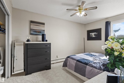 Carpeted room featuring a ceiling fan with integrated lighting, a window with dark curtain rods, and baseboard heating - 6 3803 76 Street, Edmonton, AB - Indoor Photo Showing Bedroom