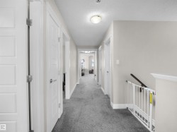 Carpeted hallway with light gray walls, white trim, and paneled doors featuring silver-tone hardware - 