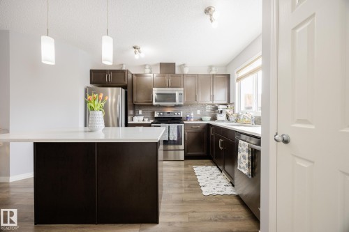 3841 Powell Wynd Sw, Edmonton, AB - Indoor Photo Showing Kitchen With Upgraded Kitchen