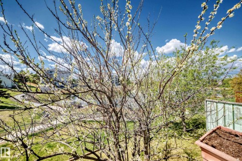 28 9520 174 Street, Edmonton, AB - Outdoor With View