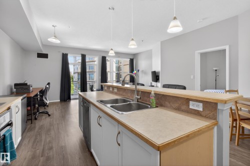 341 4827 104A Street, Edmonton, AB - Indoor Photo Showing Kitchen With Double Sink