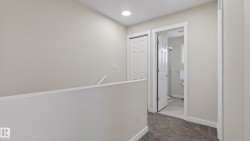 Carpeted hallway with light neutral wall paint and white trim, featuring a recessed ceiling light - 