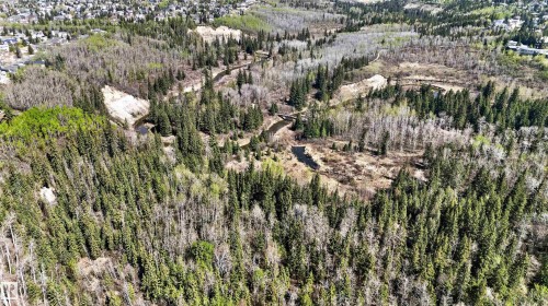 Expansive forested landscape featuring a winding waterway, natural land formations, and varied tree species - 110 2903 Rabbit Hill Road, Edmonton, AB - Outdoor With View