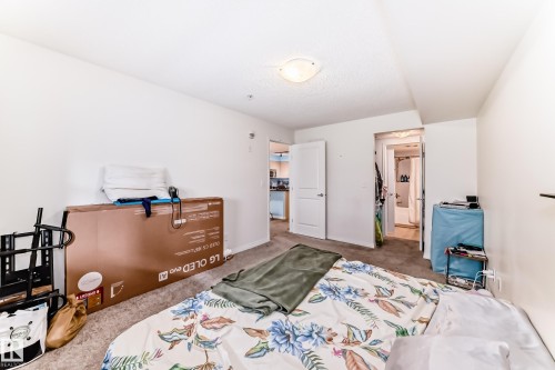 Carpeted room with white walls and a ceiling-mounted light fixture - 113 11441 Ellerslie Road, Edmonton, AB - Indoor Photo Showing Bedroom