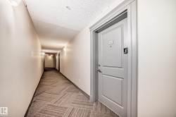 Entry door with light gray paint finish and contrasting trim - 
