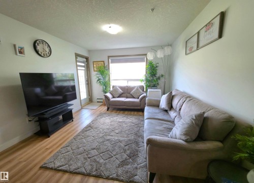 Living area featuring wood-finish flooring, white wall paint, and a door with an upper window panel - 210 5005 165 Avenue, Edmonton, AB - Indoor Photo Showing Living Room