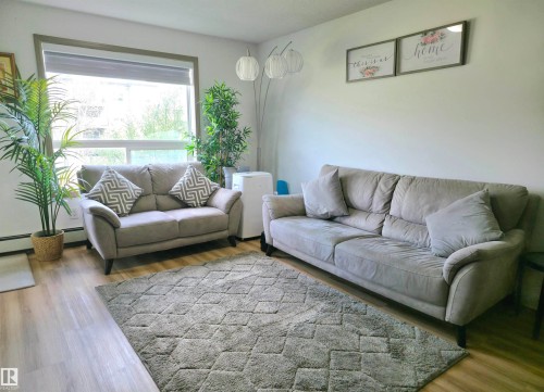 Bright living area featuring a large window, light wood-finish flooring, and a textured area rug - 210 5005 165 Avenue, Edmonton, AB - Indoor Photo Showing Living Room